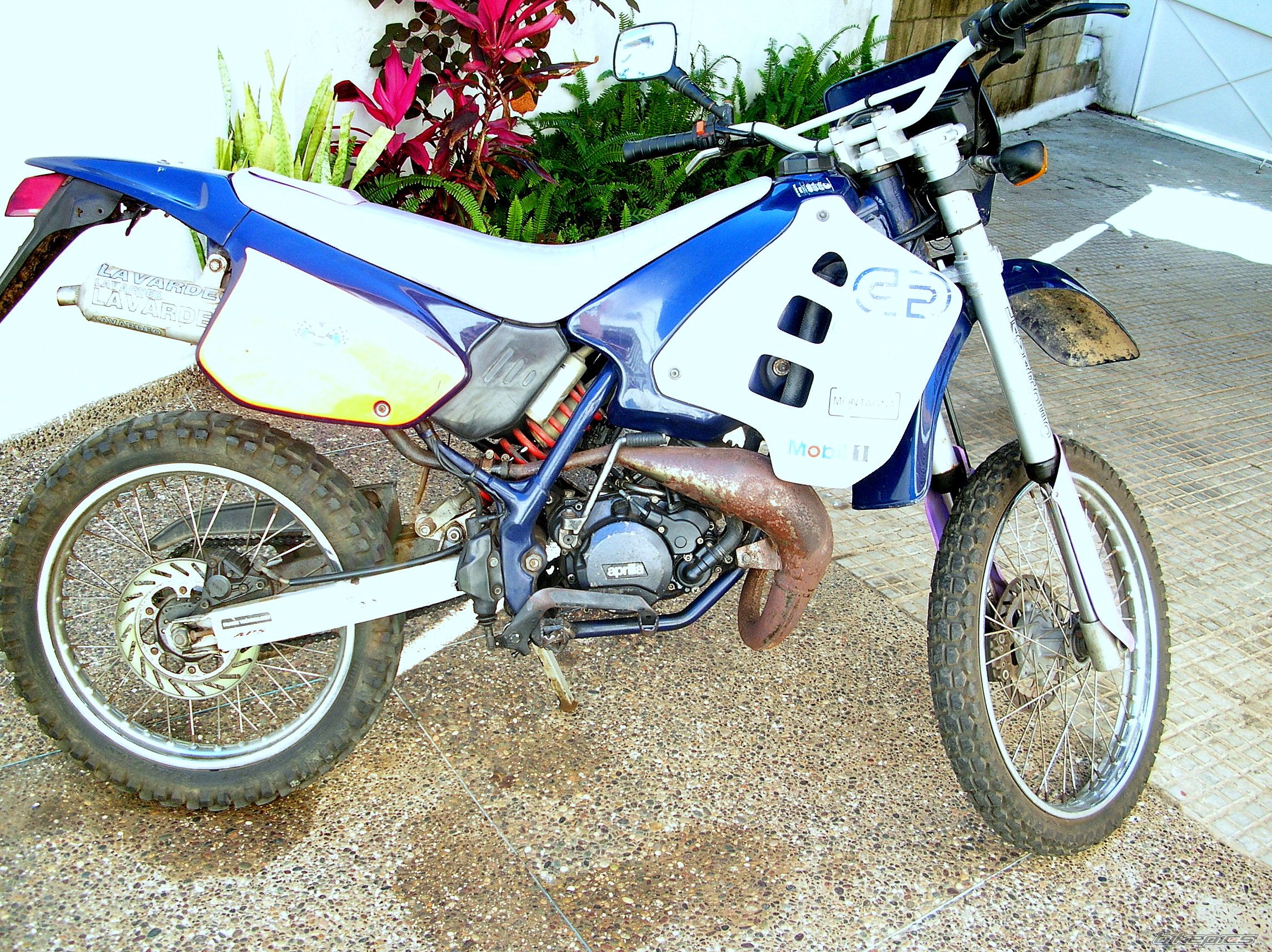 Photo 1071935