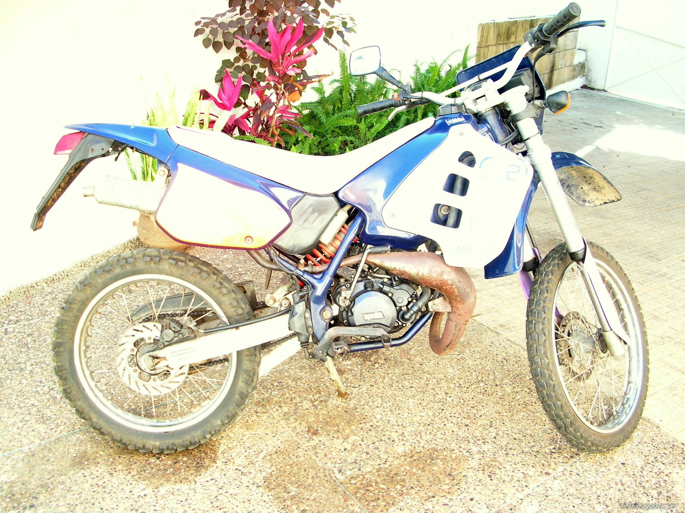 Photo 1071992