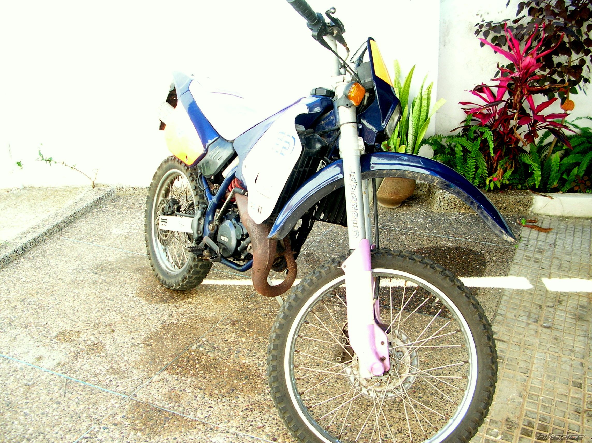 Photo 1072009