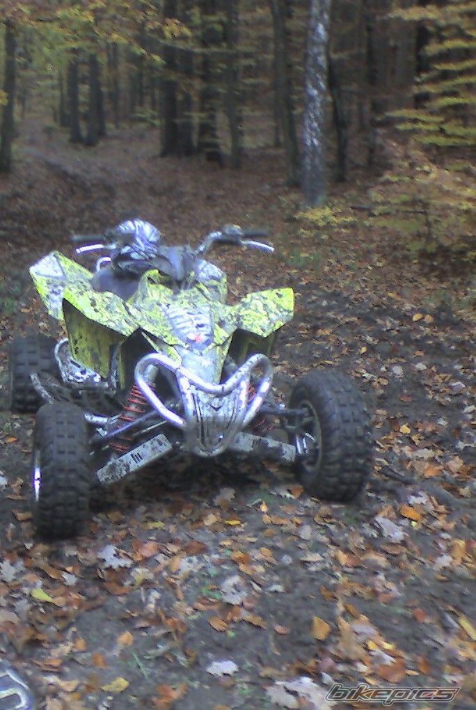 Photo 1072142