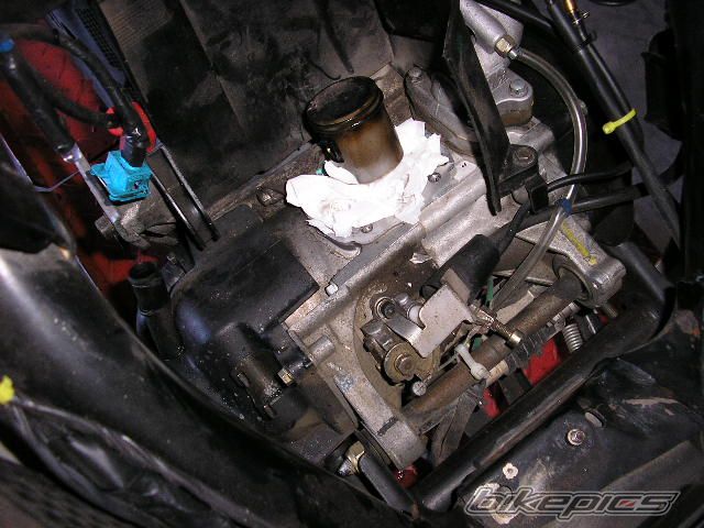Photo 1072204