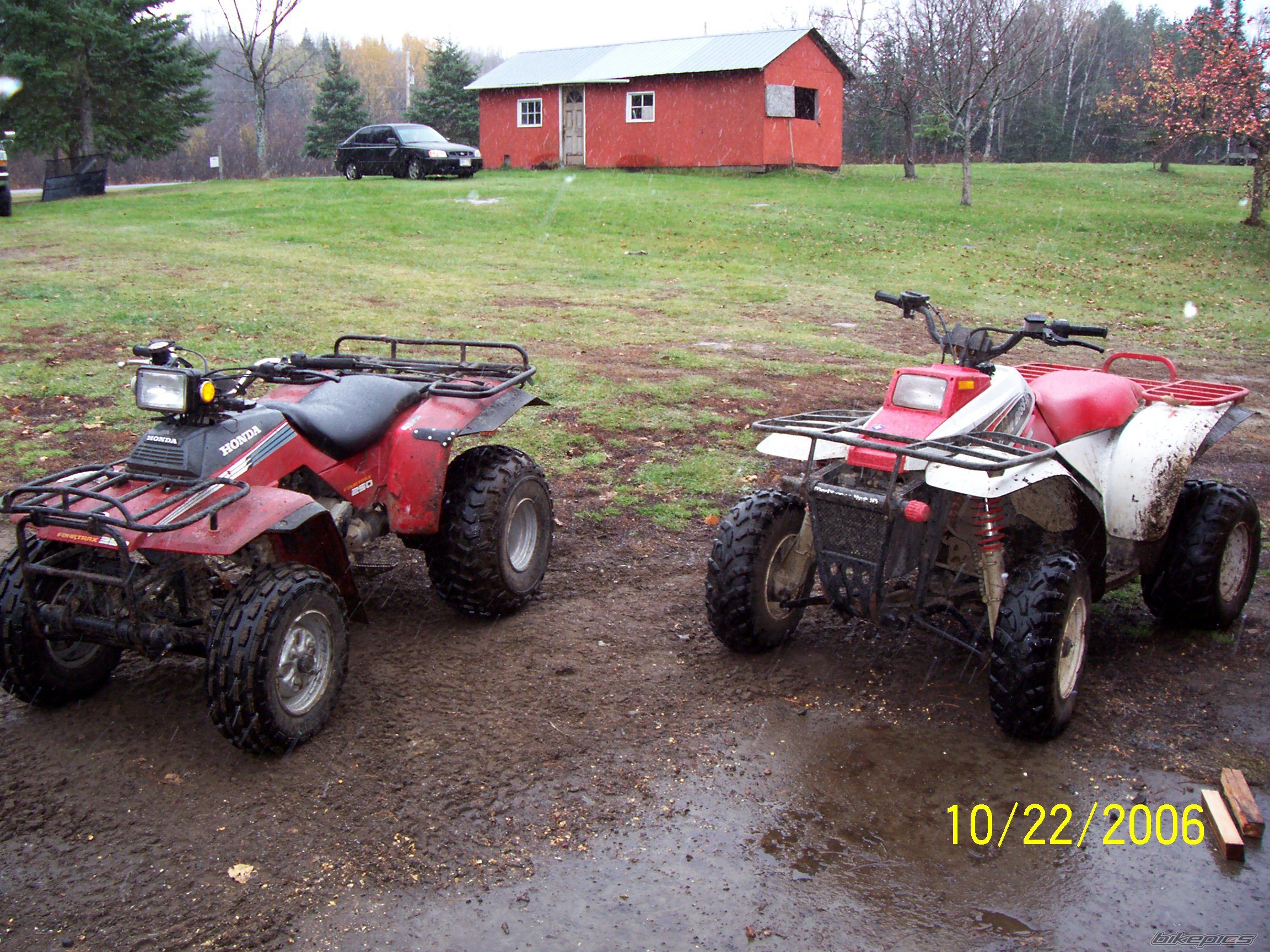 Photo 1072441