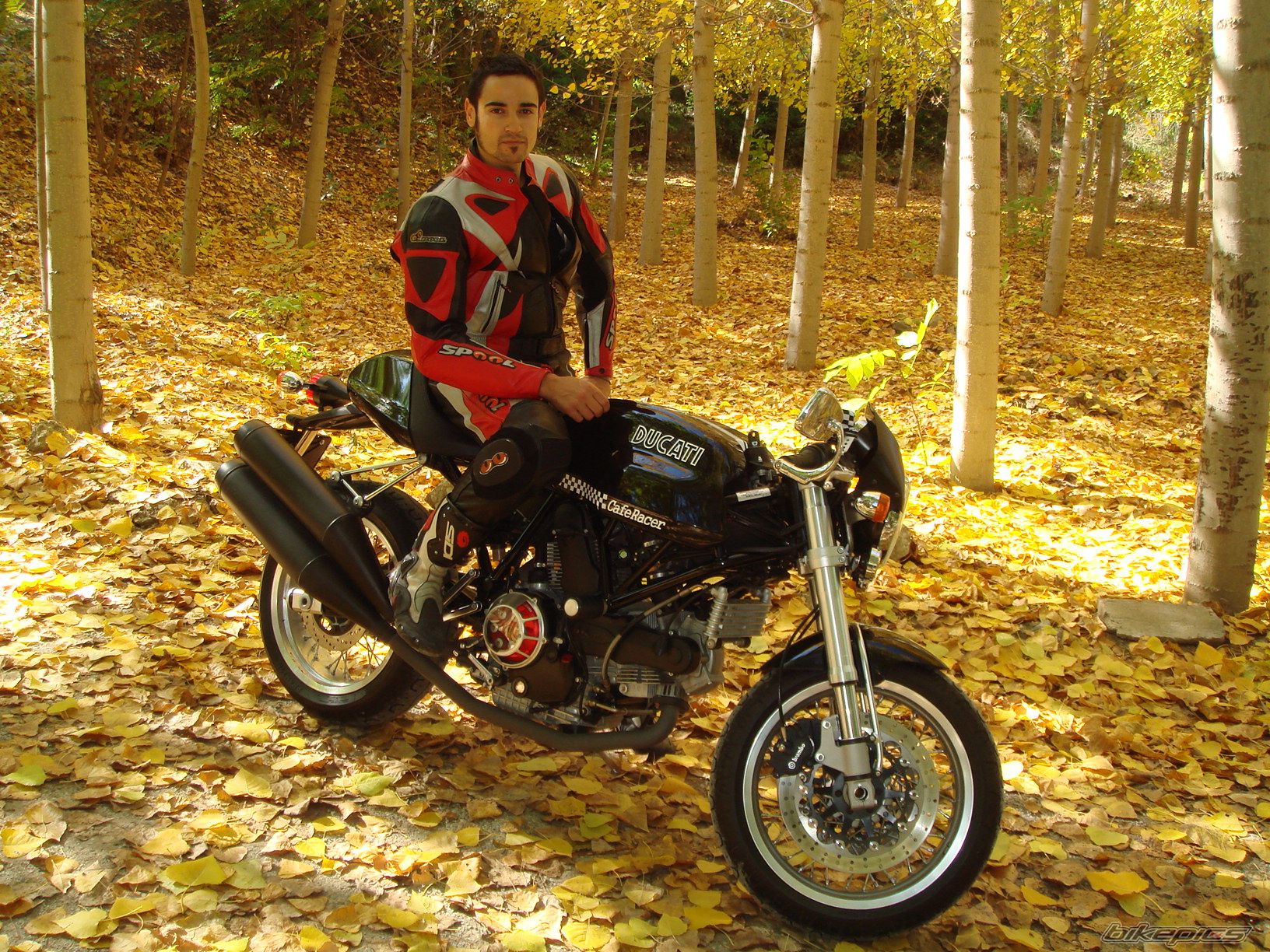 Photo 1072637