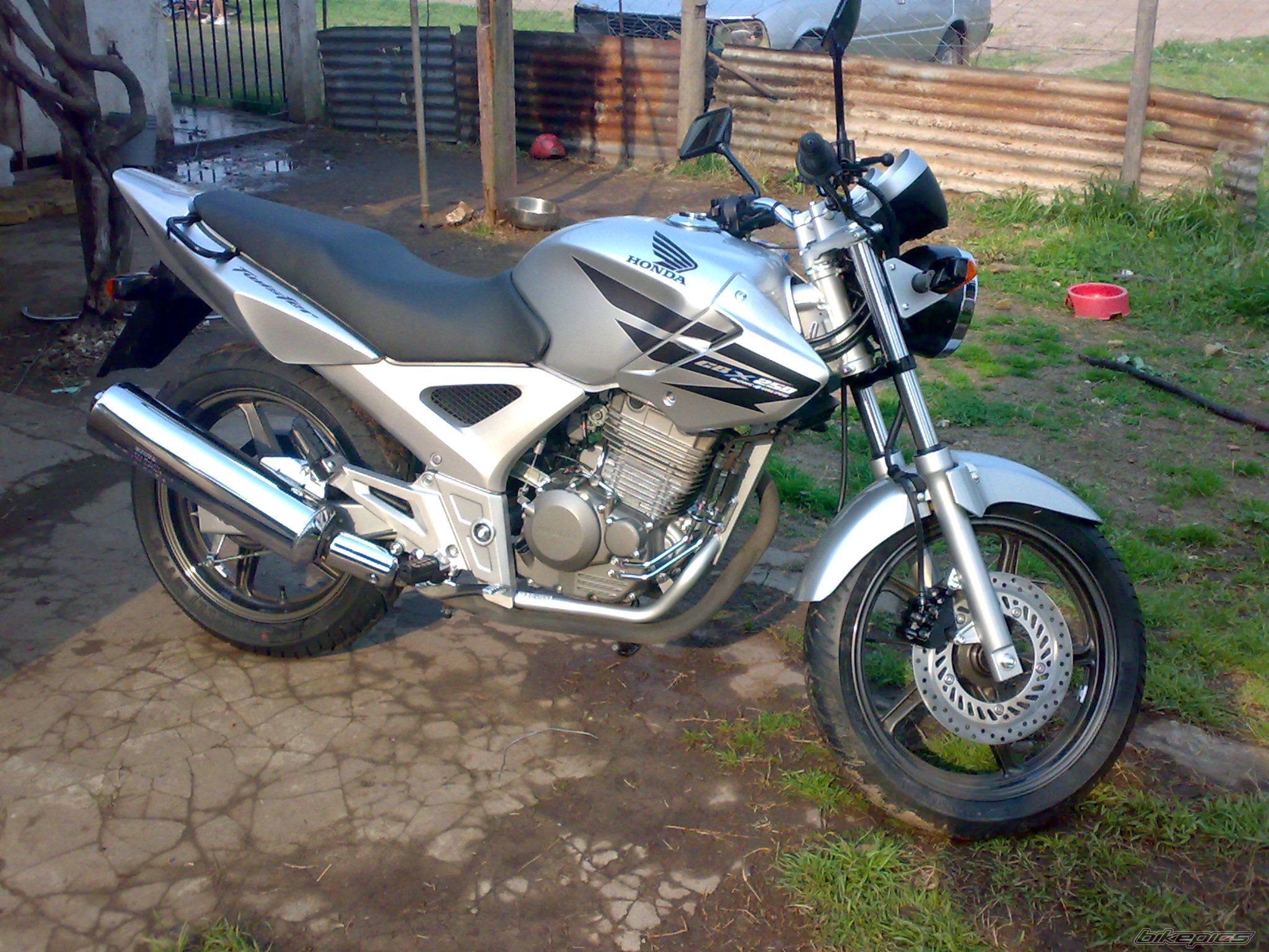 Photo 1072641
