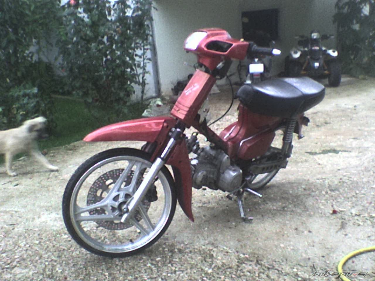 Bike Photo 1072730