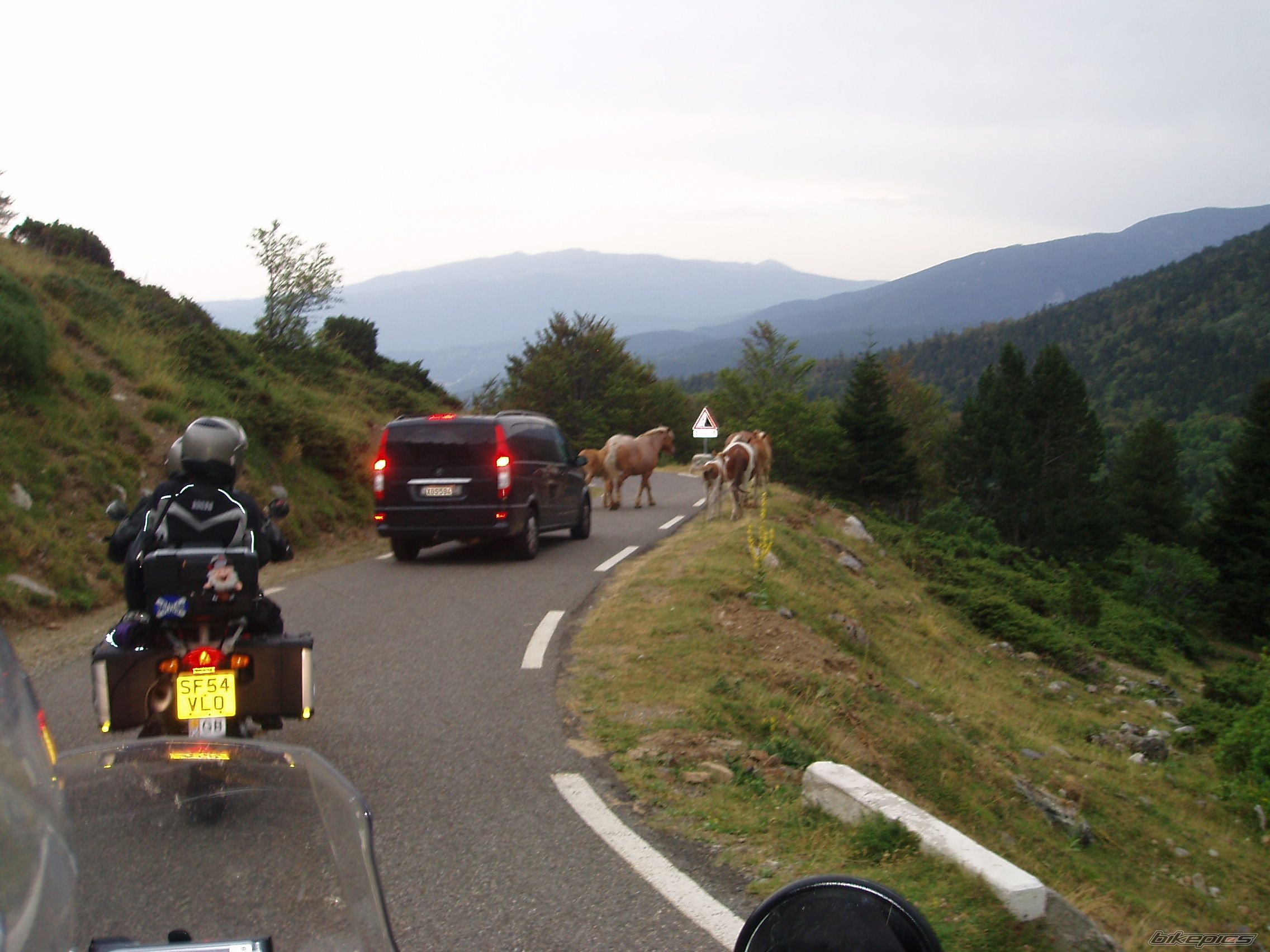 Photo 1072783