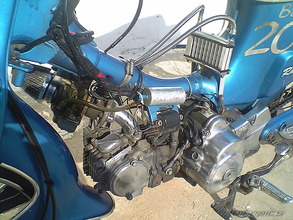 Photo 1072837