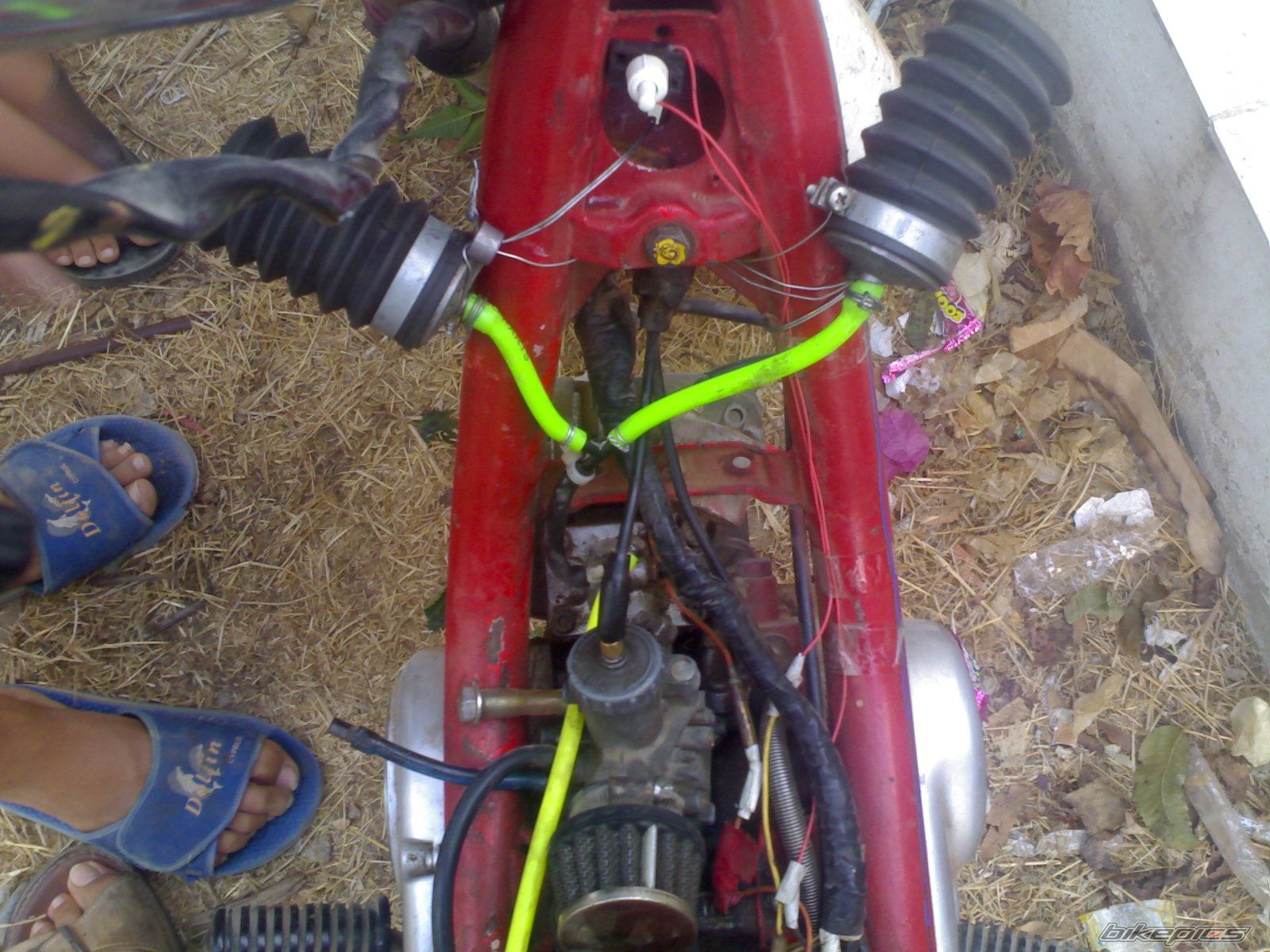 Photo 1072931