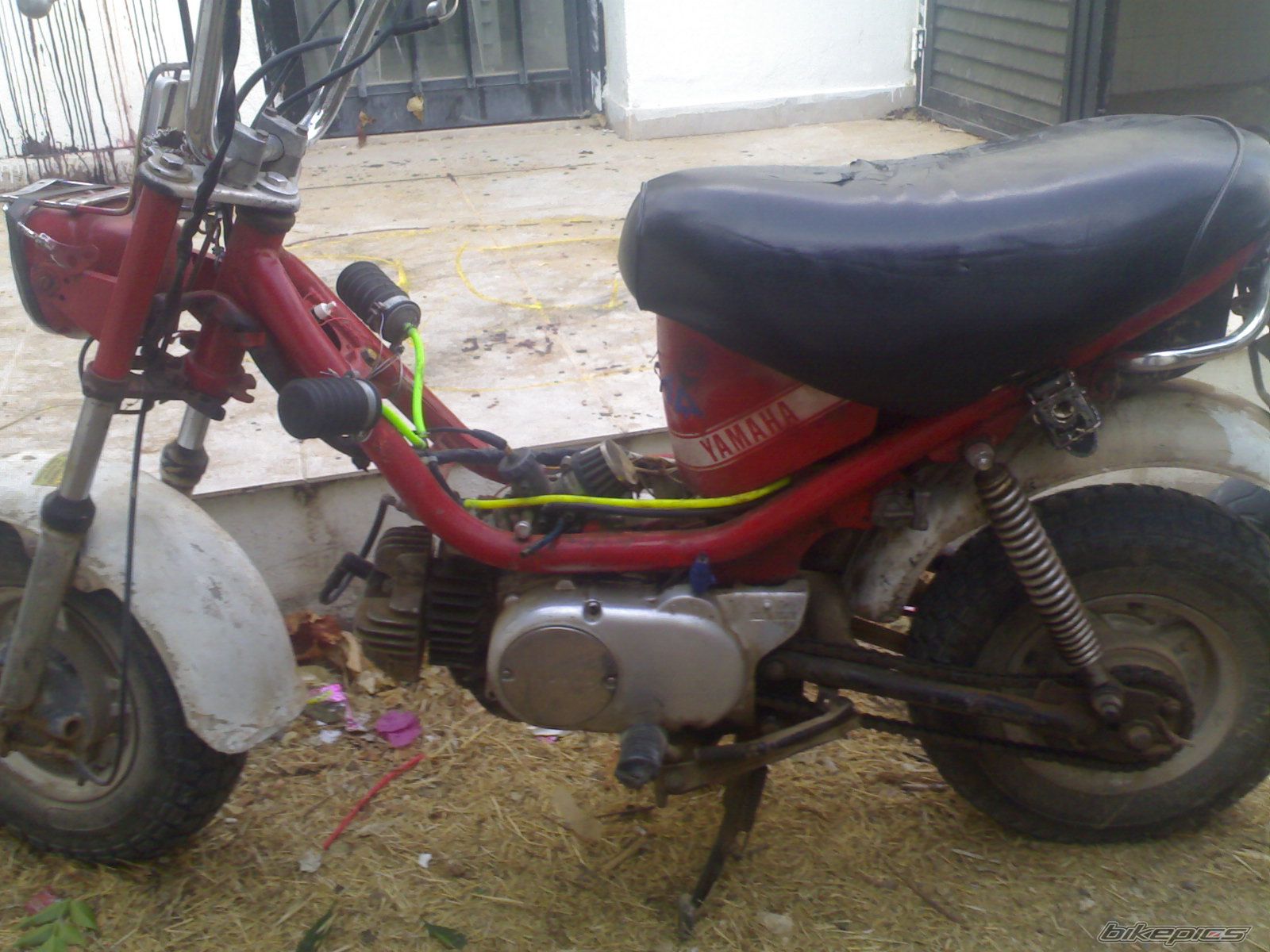 Photo 1072939
