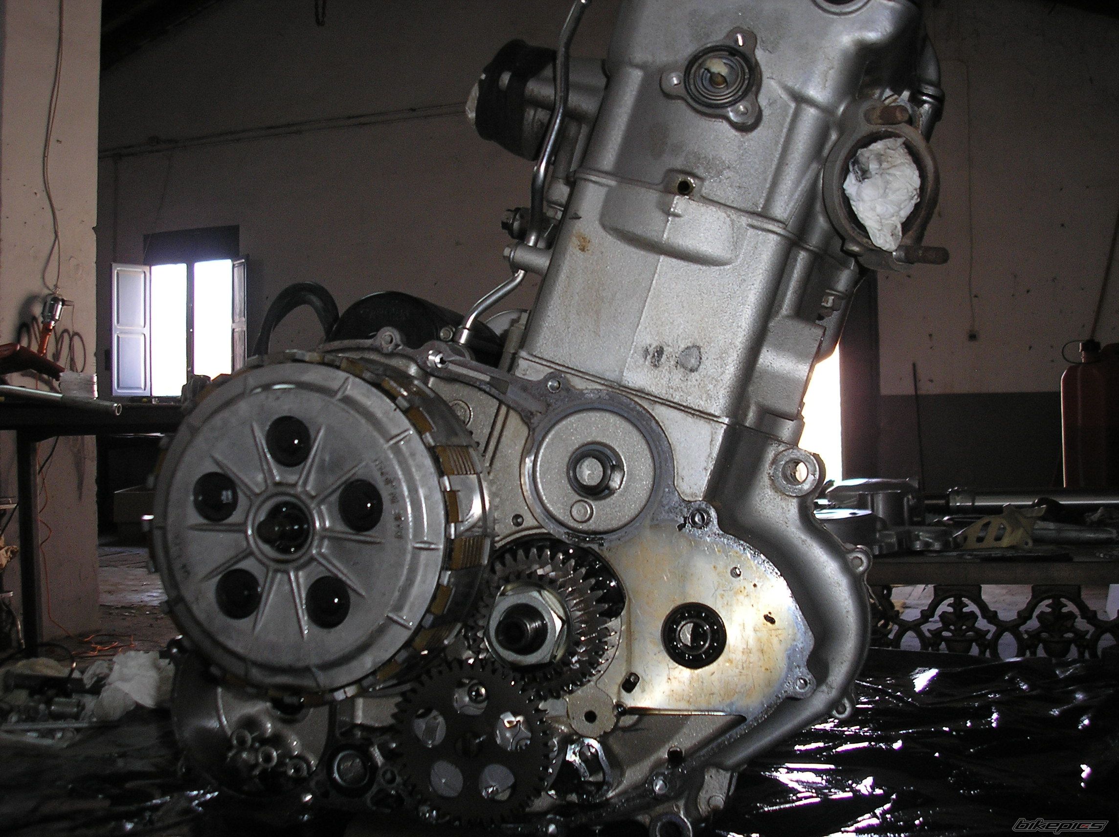 Photo 1072962