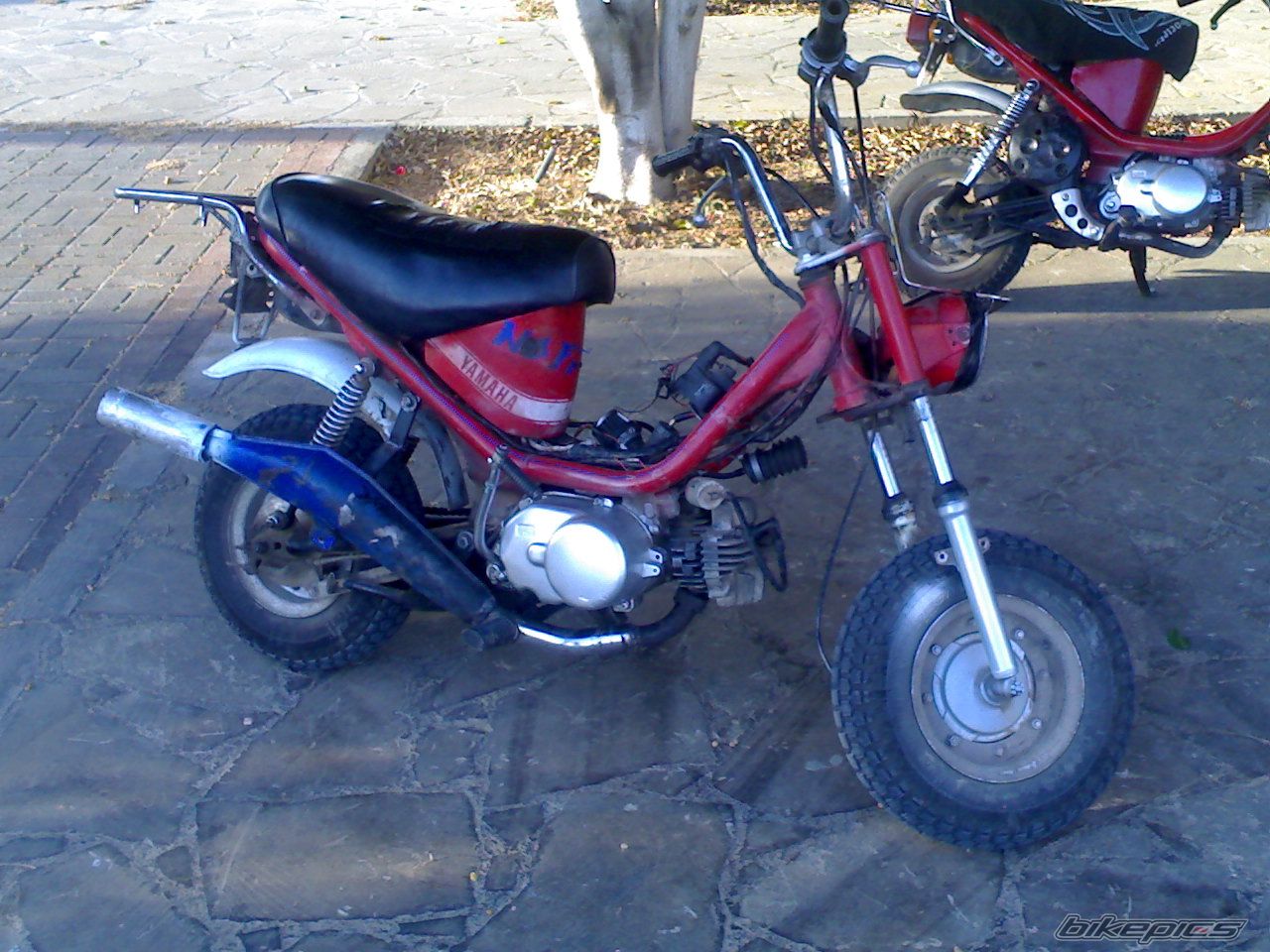 Photo 1072963