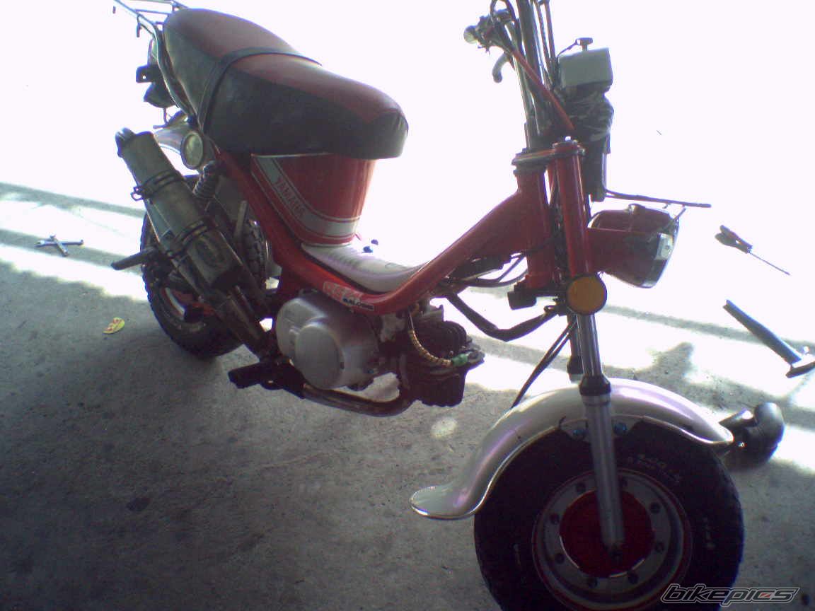 Photo 1072987