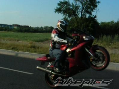 Photo 1073040