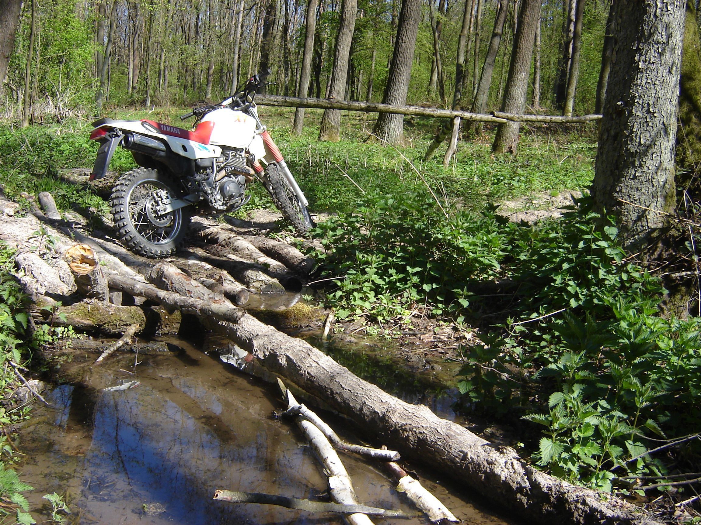 Photo 1073046