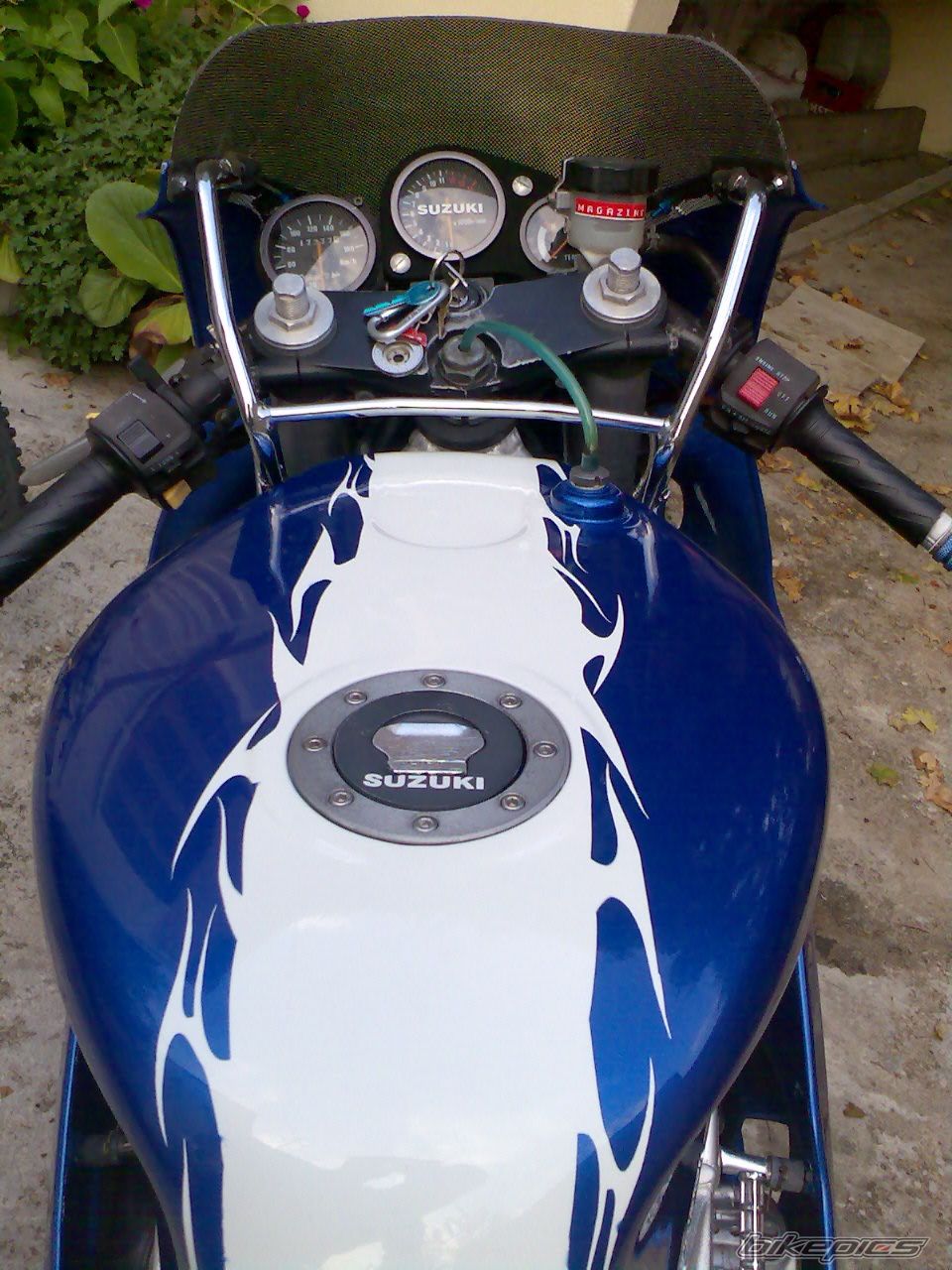 Photo 1073230