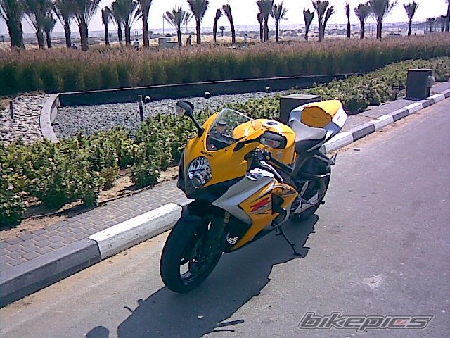 Photo 1073280