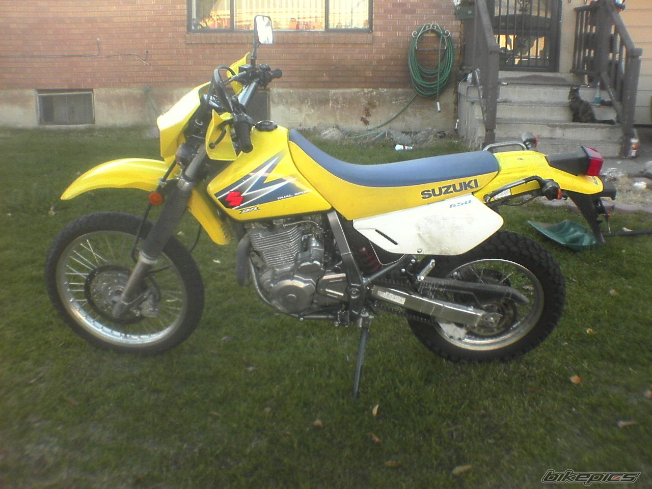 Photo 1073393