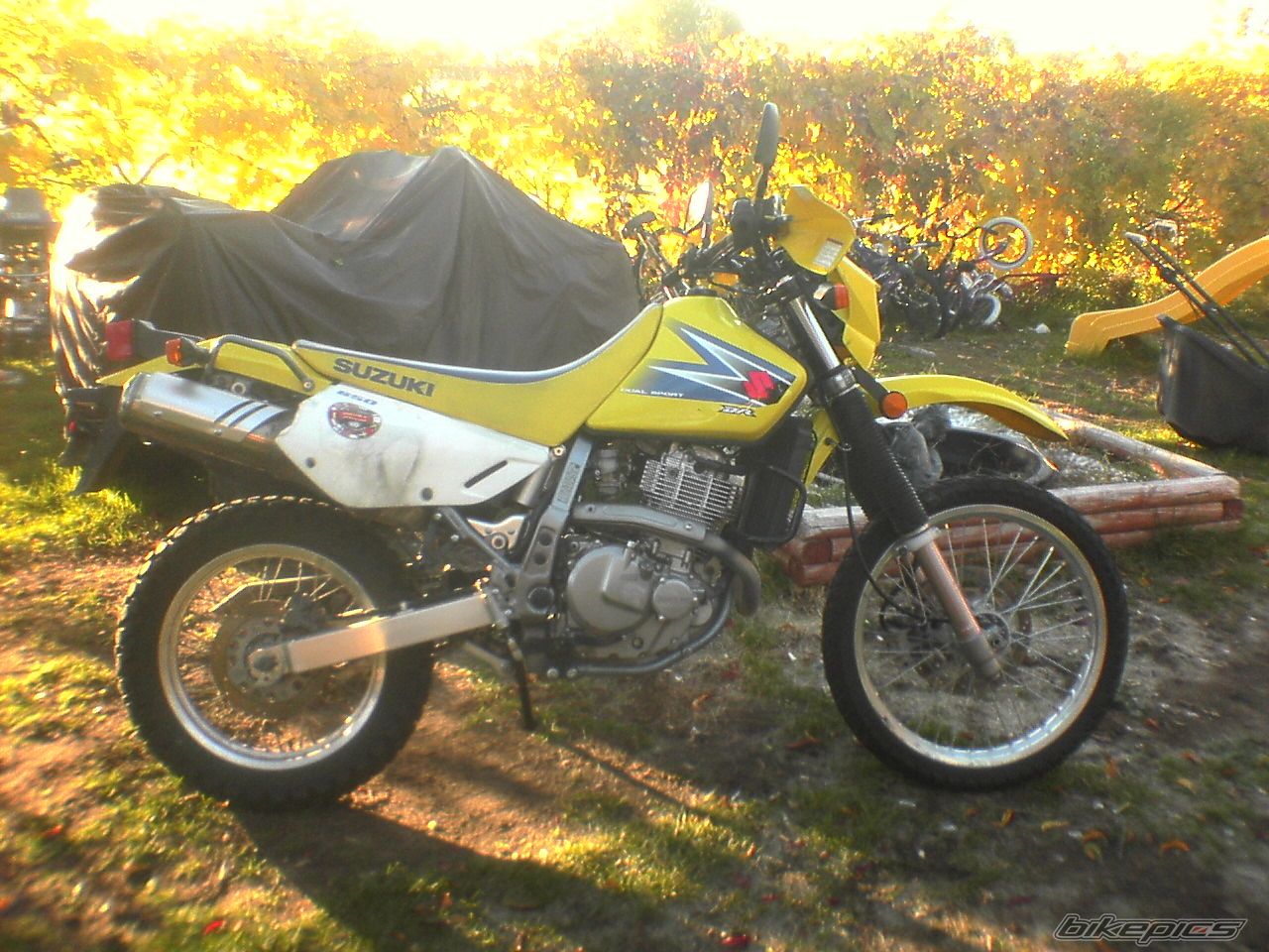 Photo 1073395