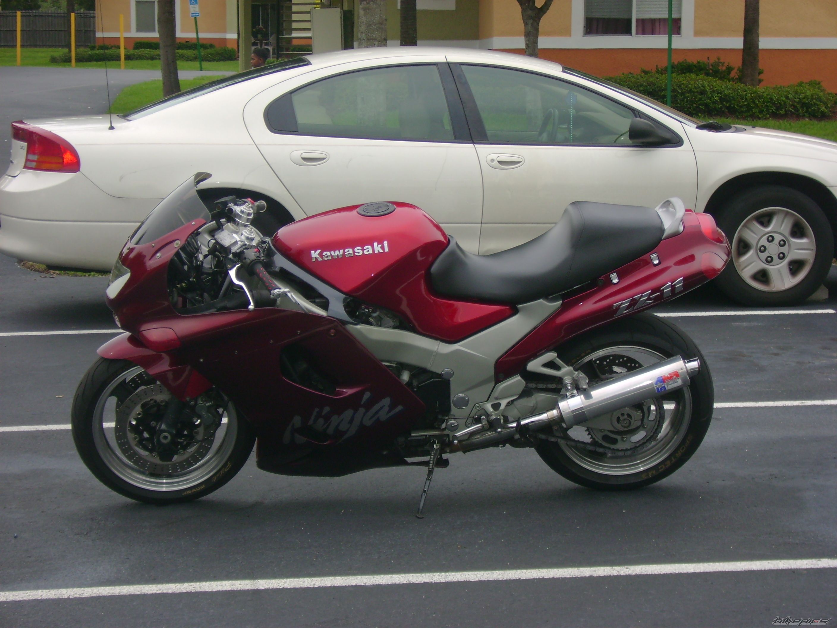 Photo 1073420