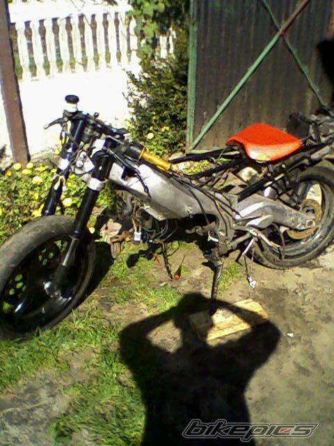Photo 1073454