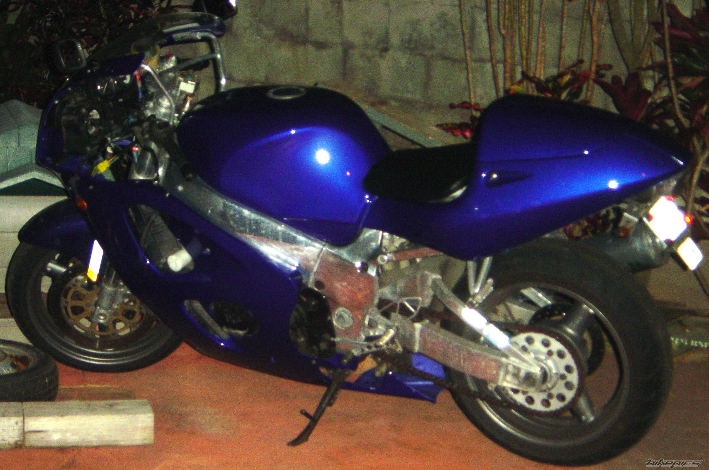 Photo 1073528