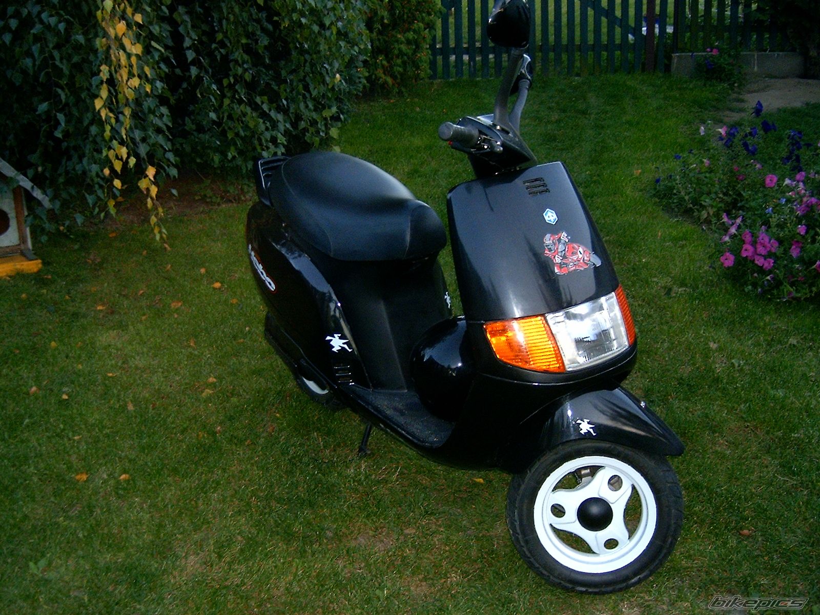 Photo 1073544