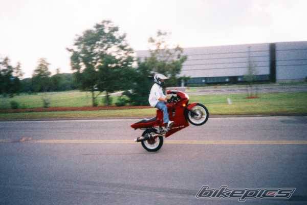 Photo 10736