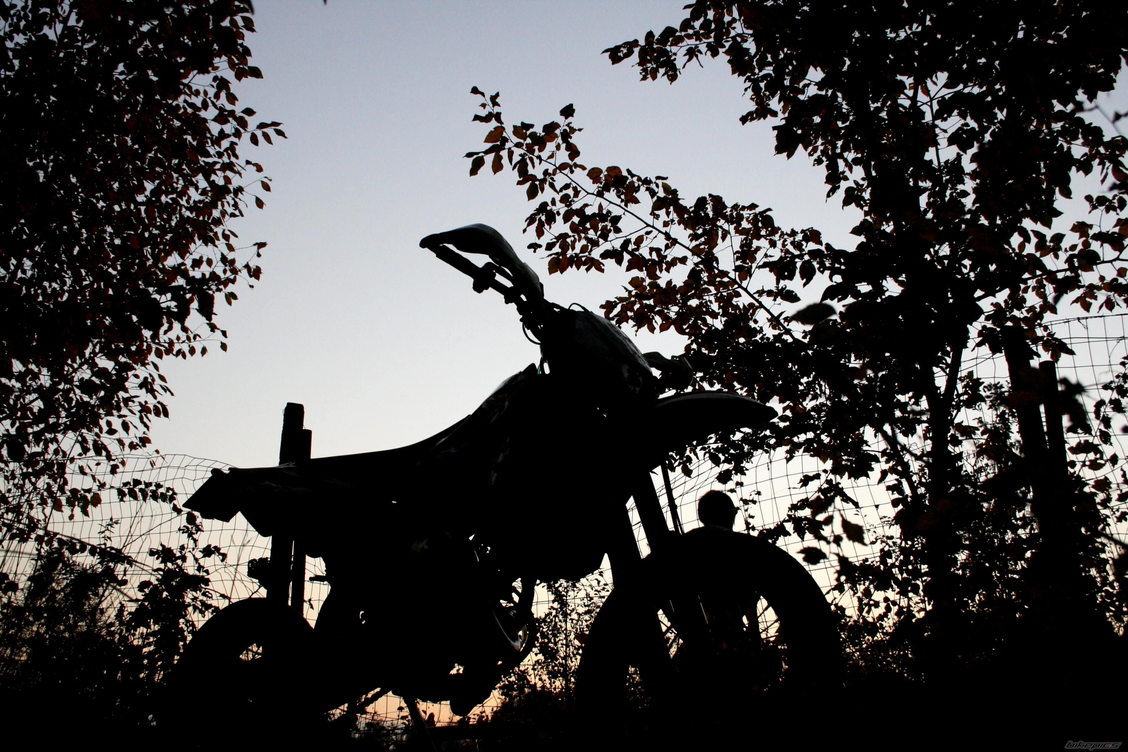 Photo 1073711