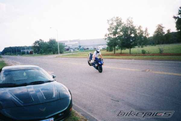 Photo 10738