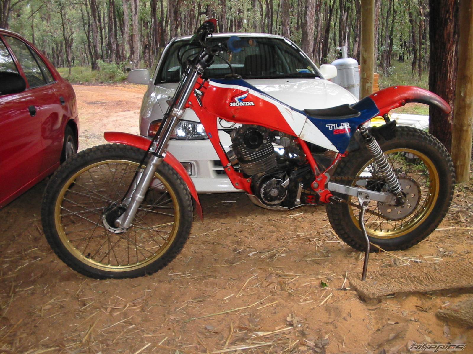 Photo 107384