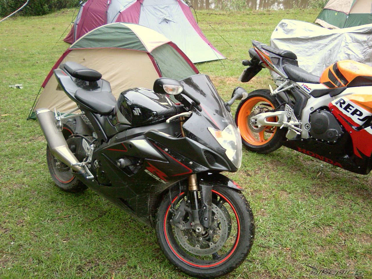 Photo 1073897