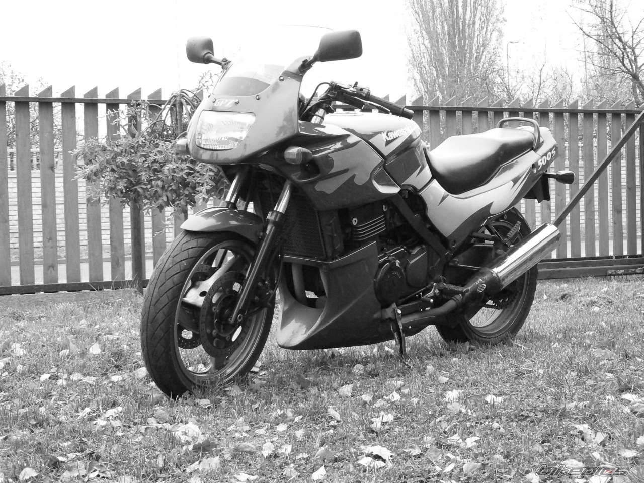 Photo 1073948