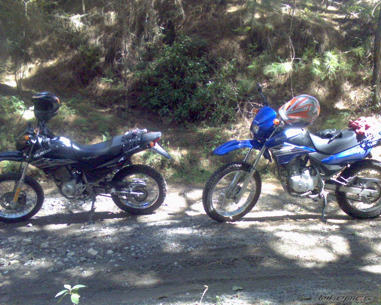 Photo 1073999