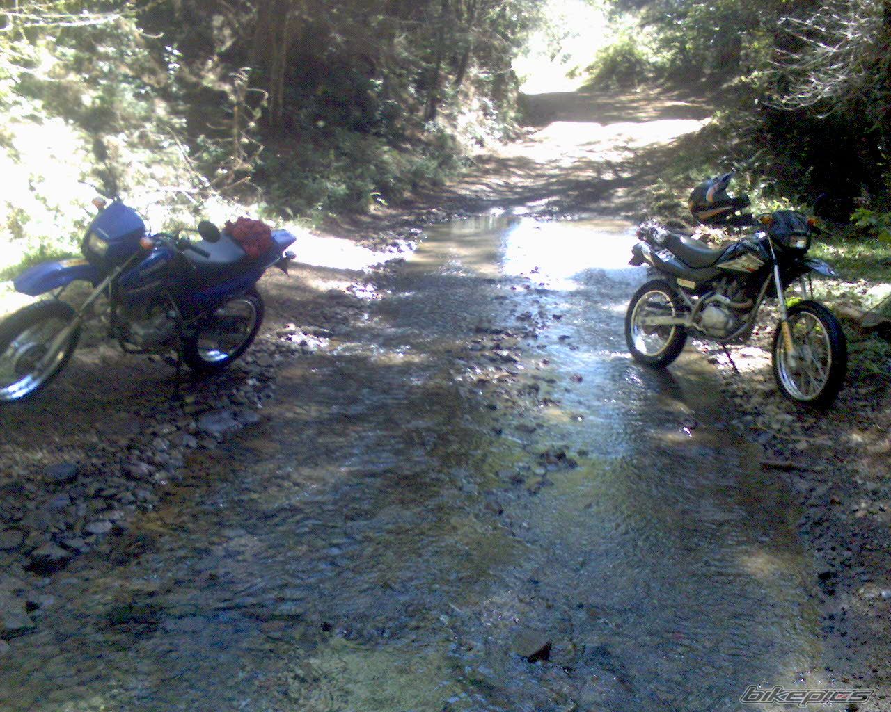 Photo 1074005