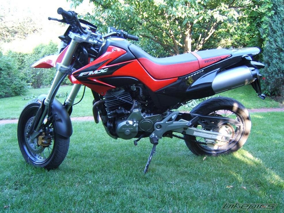 Photo 1074039