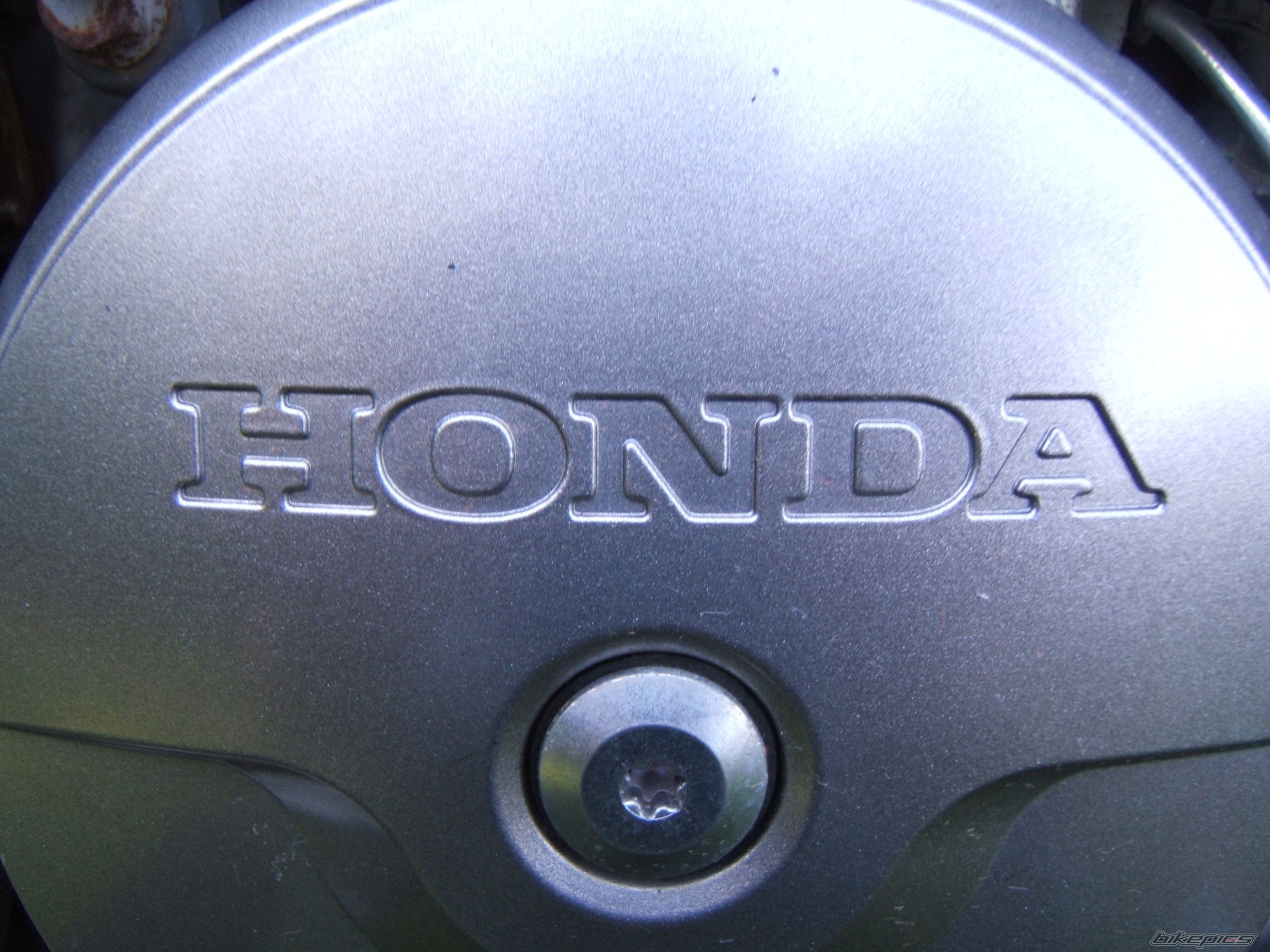 Photo 1074066
