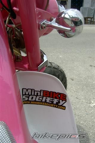 Photo 1074093