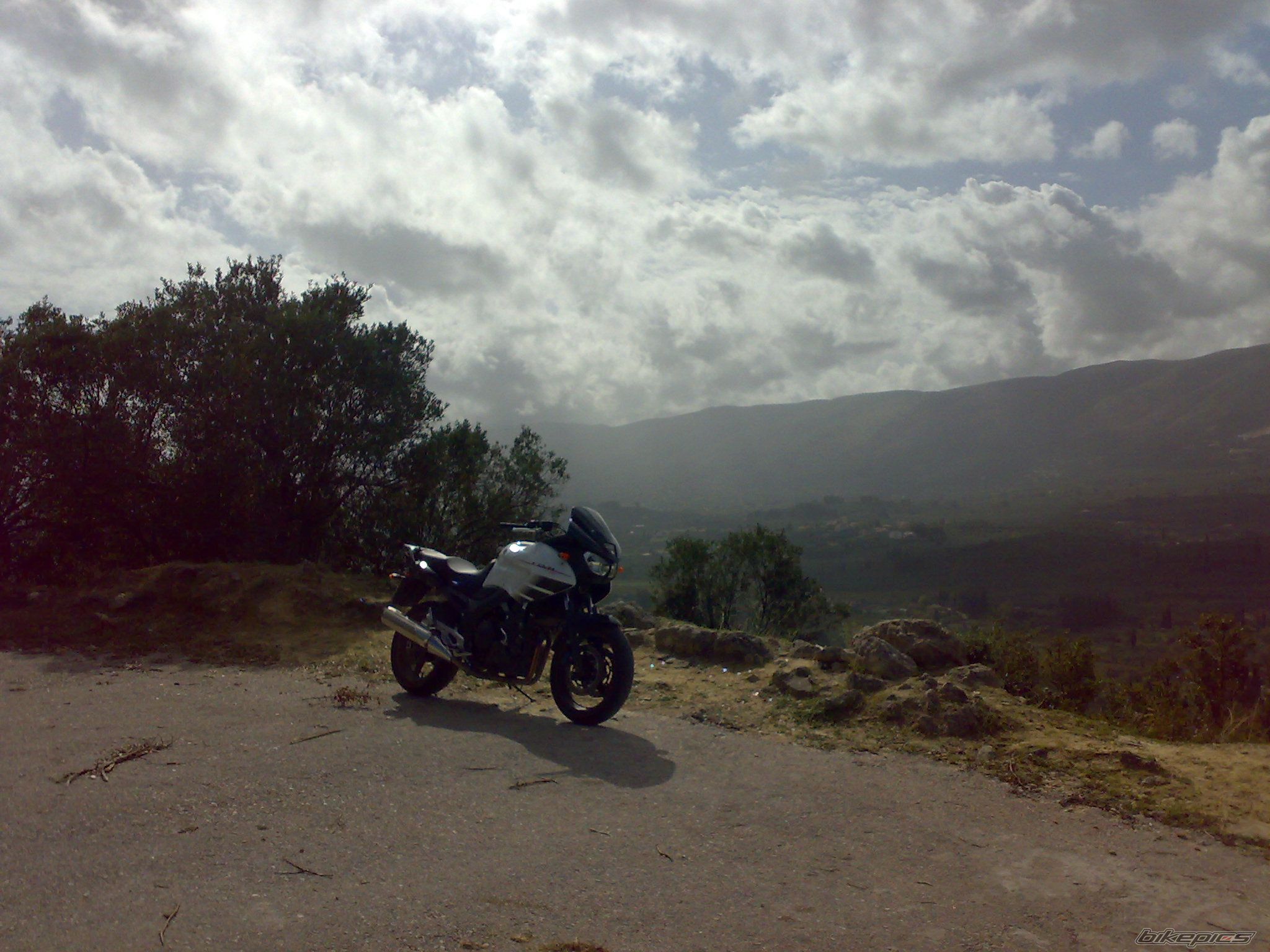 Photo 1074096