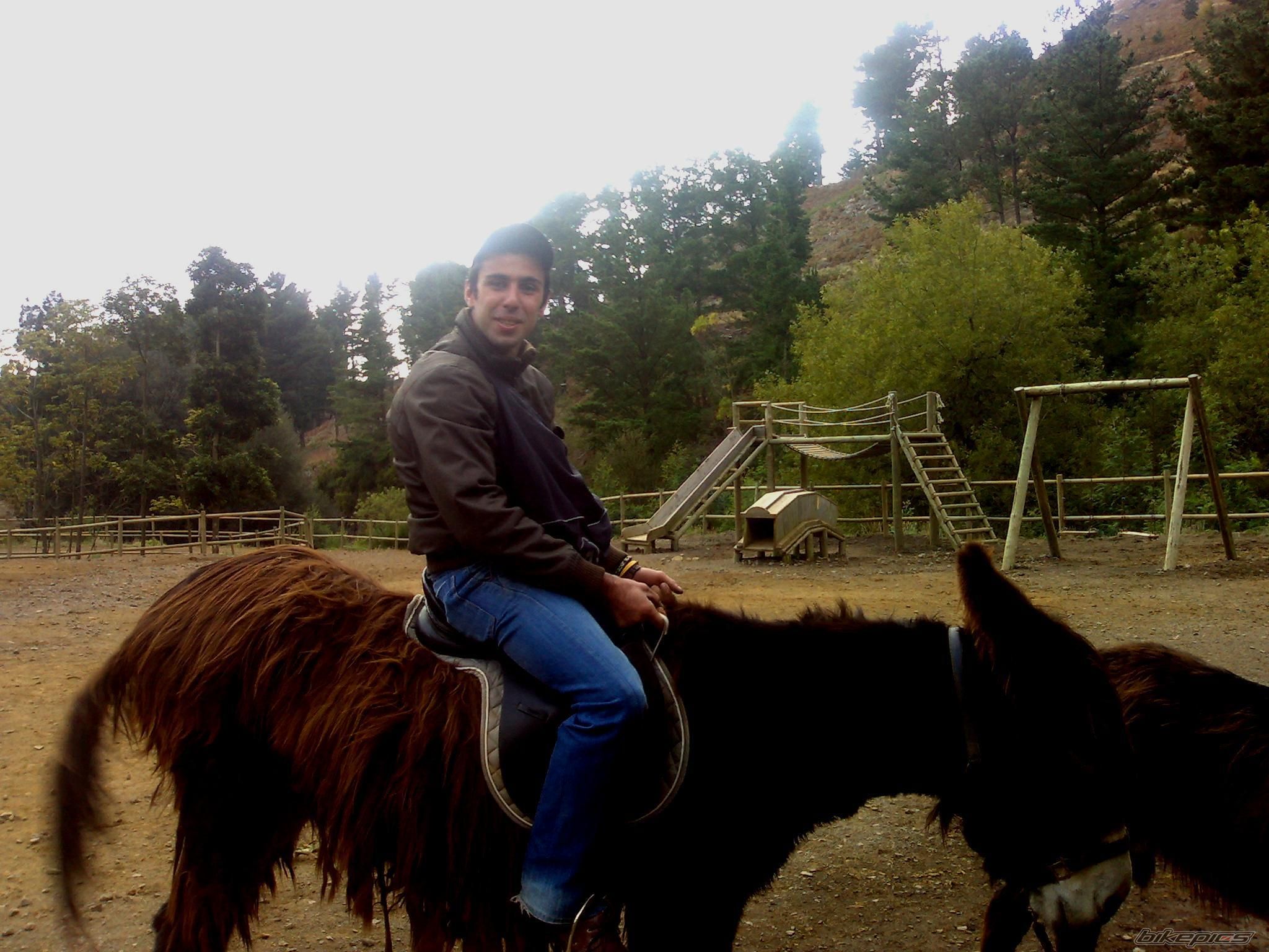 Photo 1074149