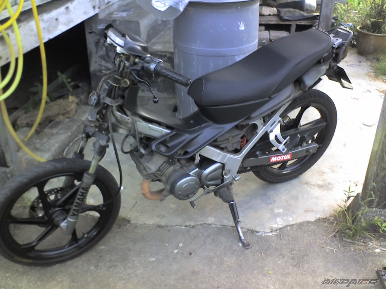 Photo 1074167