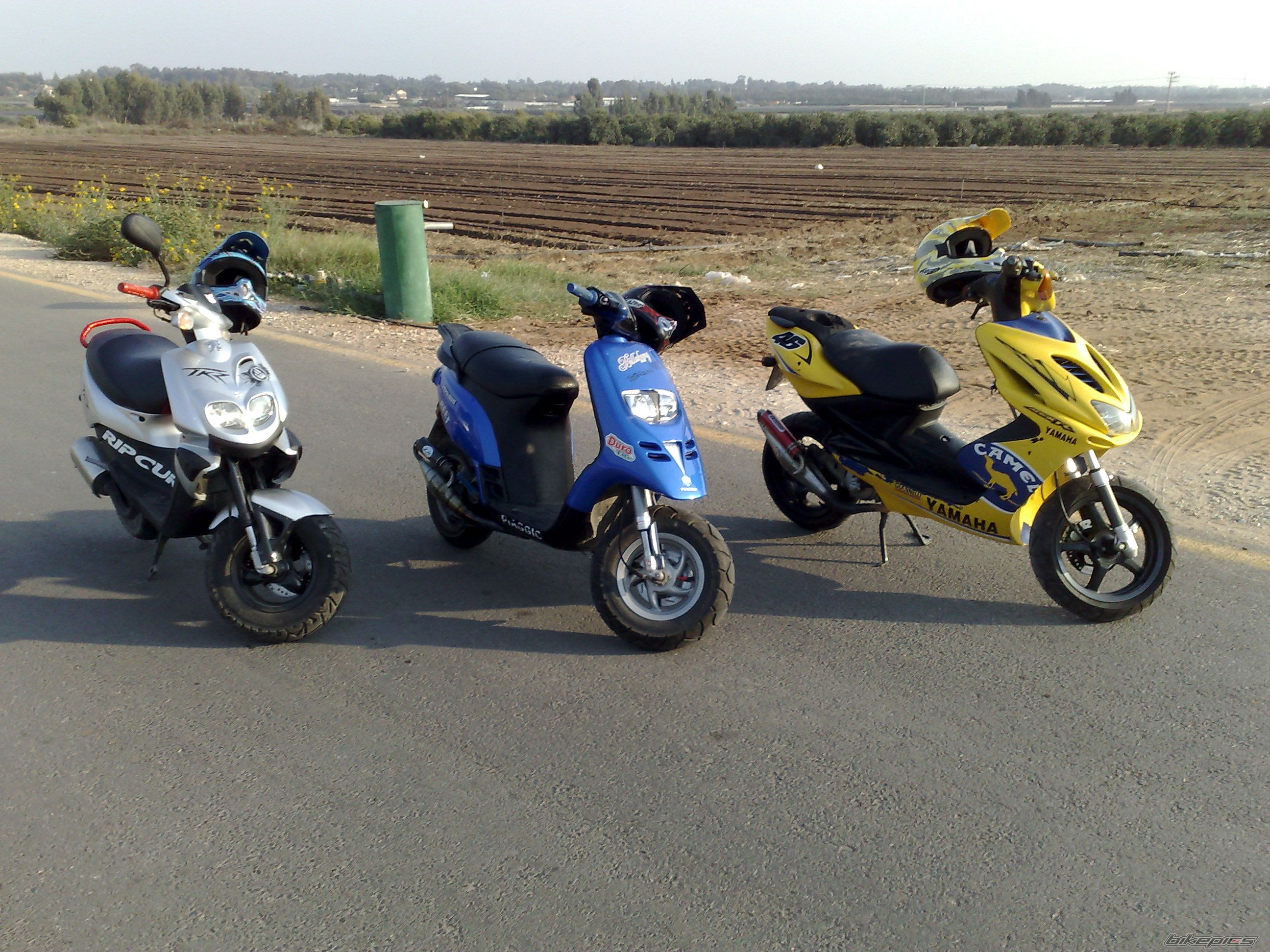 Photo 1074202
