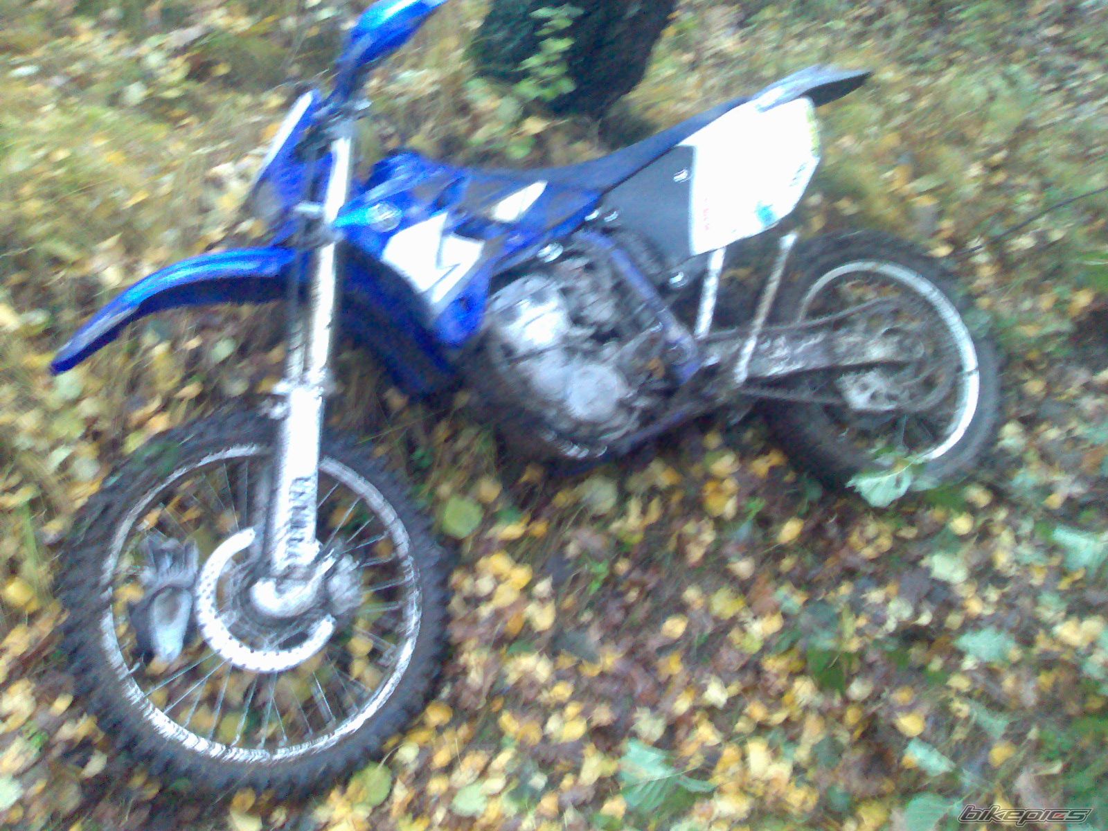 Photo 1074220