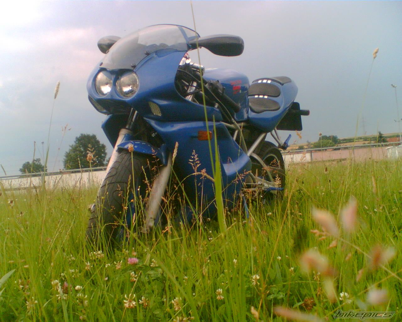 Photo 1074251