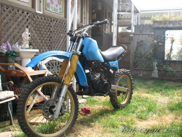 Photo 1074285