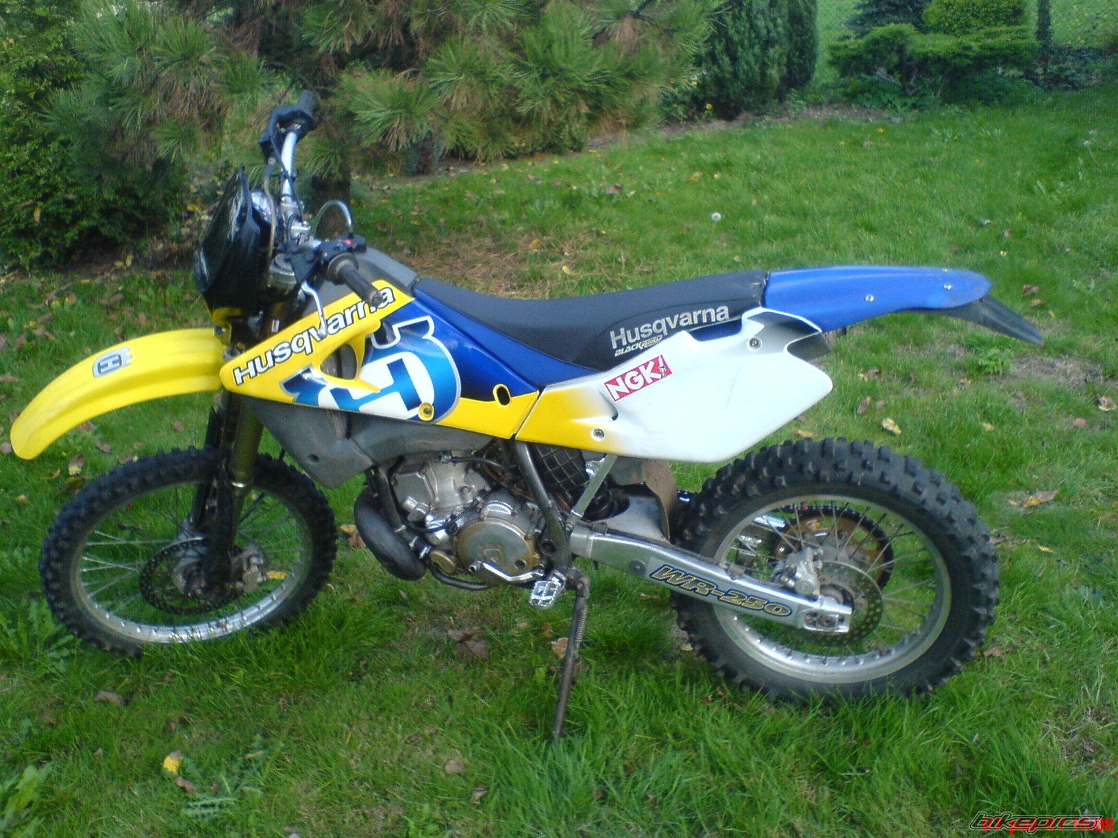 Photo 1074397