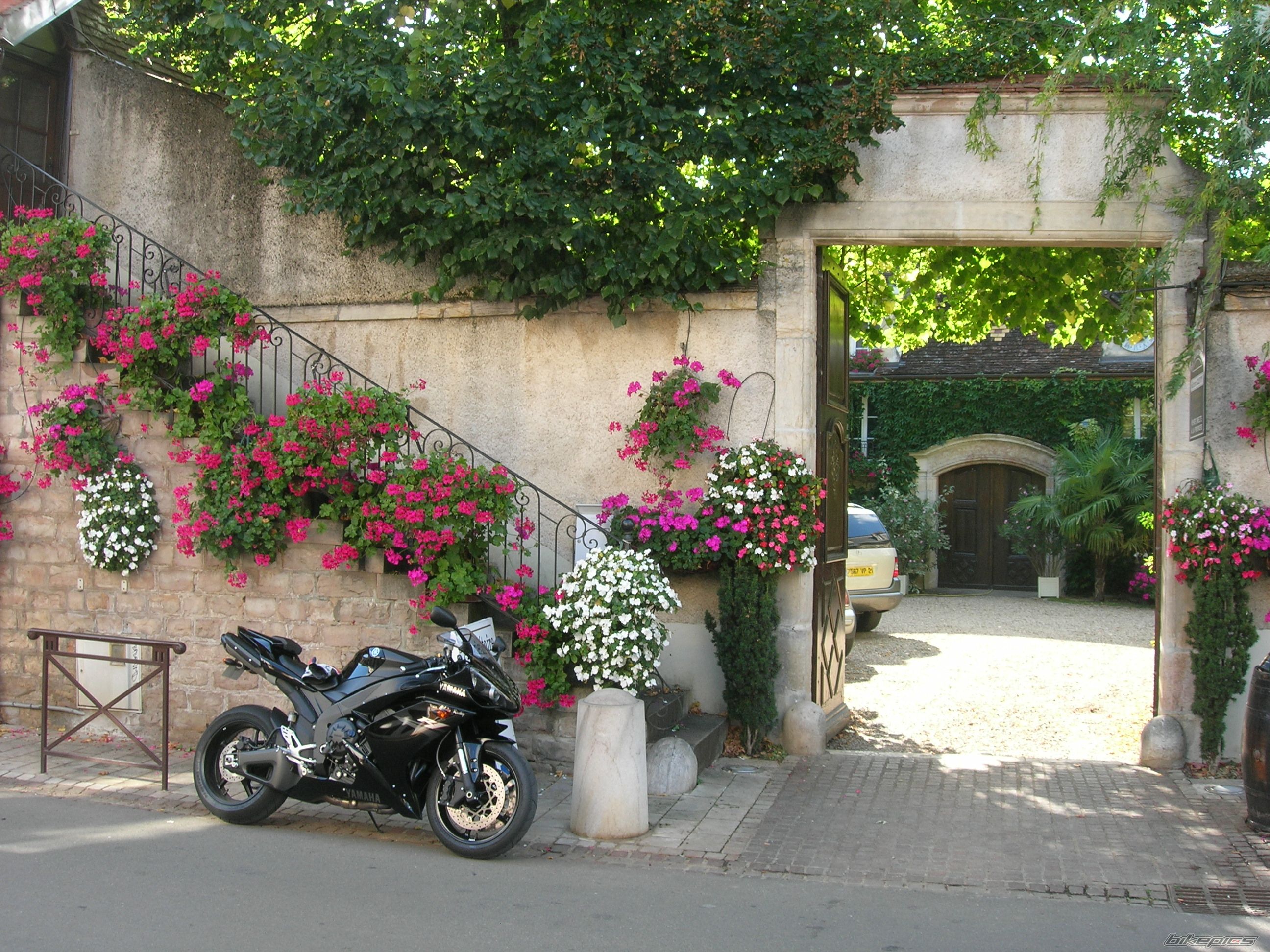 Photo 1074410