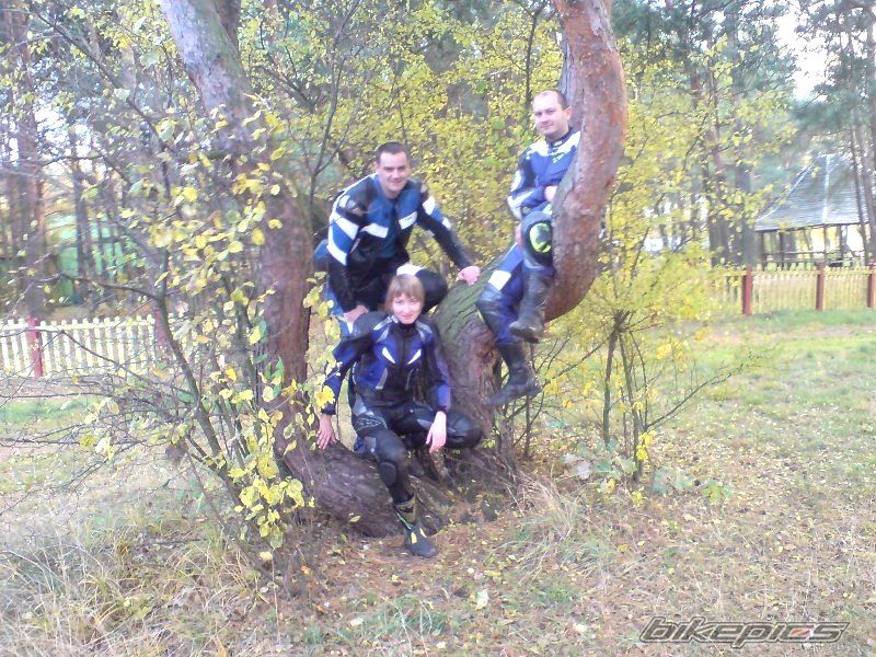 Photo 1074467