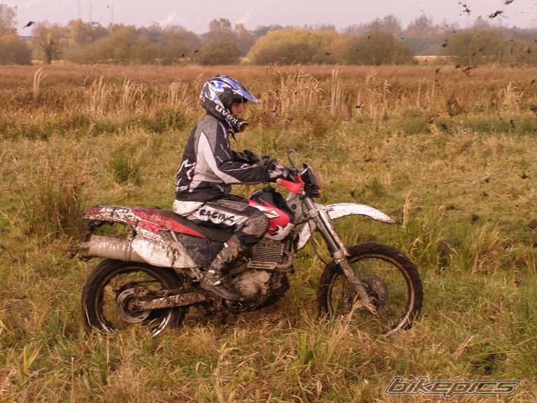 Photo 1074477