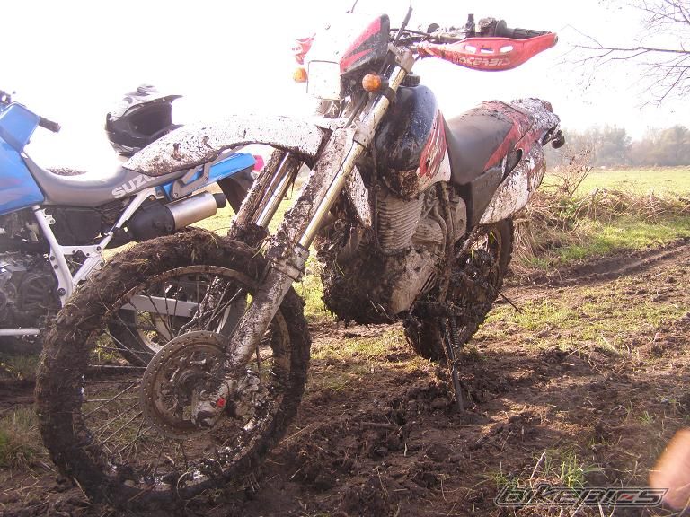 Photo 1074482