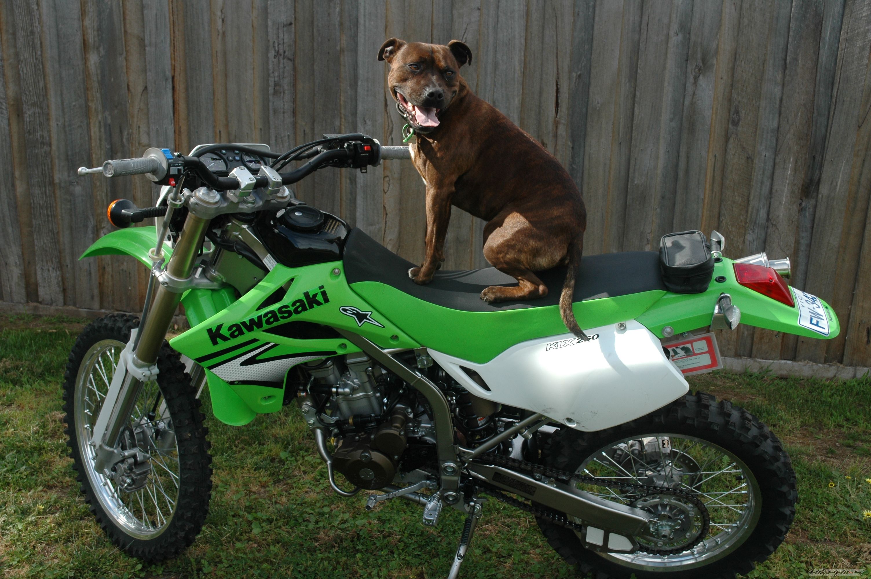 Bike Photo 1074520